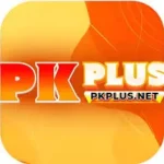 PkPlus  Game Image