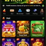 977PAK game image